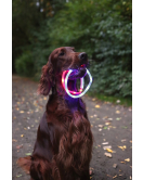 HALSBAND LED NERA BLAUW 20-70CM 16MM