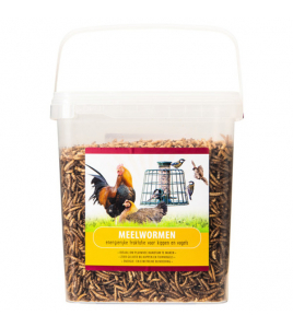 VOERWAARTS MEELWORMEN 900 G