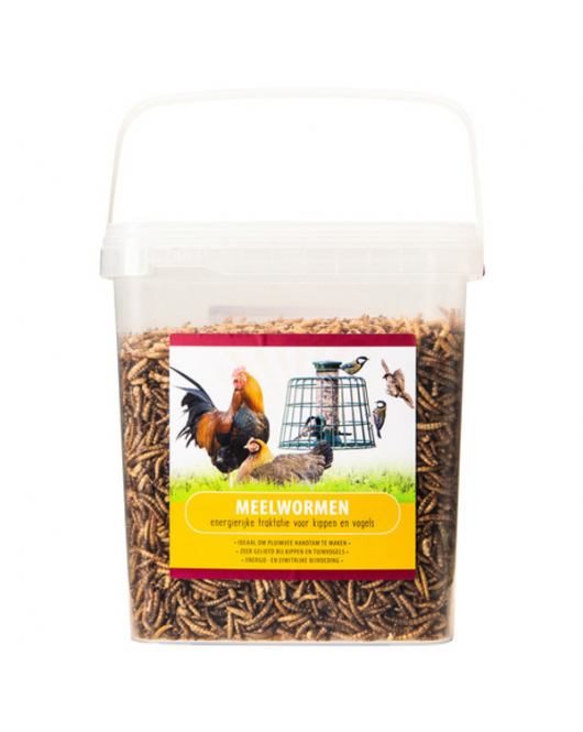 VOERWAARTS MEELWORMEN 900 G