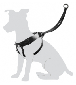 HARNAS EASY WALKER L 45-65CM