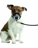 HALSBAND EASY LEADER ZWART XS 32-42CM 15MM