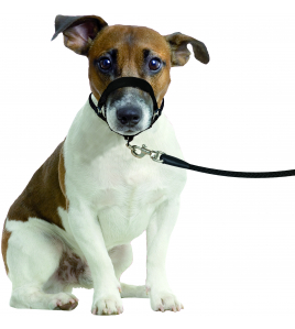 HALSBAND EASY LEADER ZWART XS 32-42CM 15MM