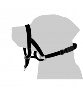 HALSBAND EASY LEADER ZWART S 40-80CM 15MM