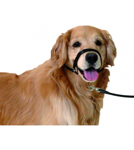 HALSBAND EASY LEADER ZWART M 42-55CM 15MM