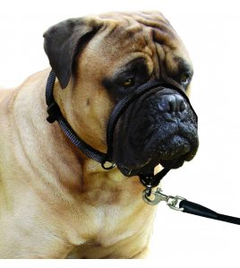 HALSBAND EASY LEADER ZWART L 50-65CM 15MM