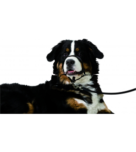 HALSBAND EASY LEADER ZWART XL 55-74CM 15MM