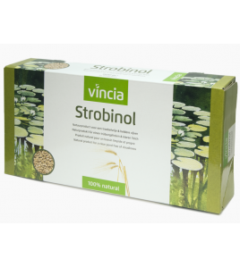 VELDA VT VINCIA ALGENBESTRIJDER, STROBINOL, 3000 ML