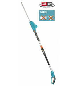 ACCU TEL. HEGGENSCH.THS 42/18V P4A SOLO