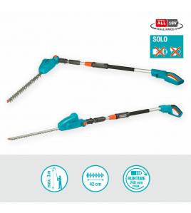 ACCU TEL. HEGGENSCH.THS 42/18V P4A SOLO