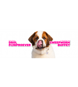 MILBEMAX MILBEMAX HOND 2 TAB 10-50KG