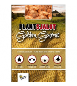 PLANTSJALOTTEN GOLDEN GOURMET 500G (9)