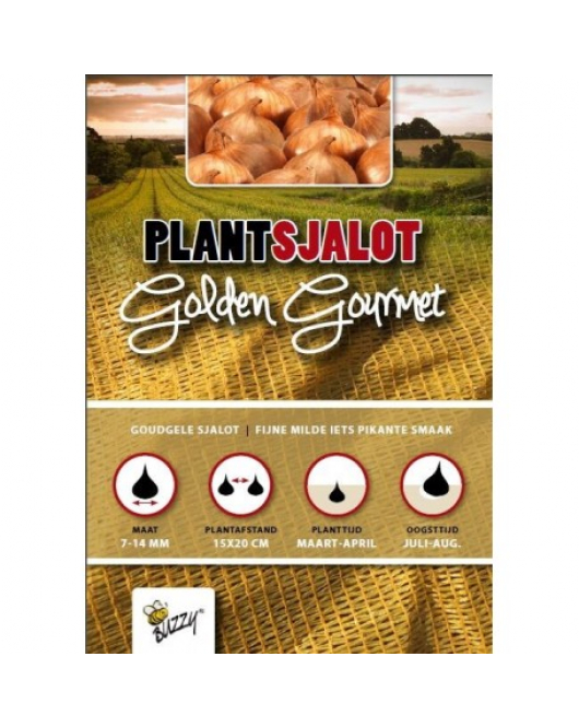 PLANTSJALOTTEN GOLDEN GOURMET 500G (9)