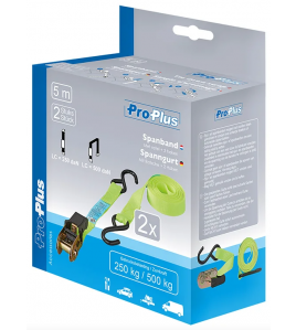 SPANBAND MET RATEL + 2 HAKEN 5 METER - SET VAN 2 STUKS