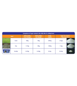 HORSELYX MINI LICK GARLIC 650 GR