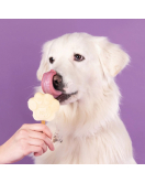 SMOOFL HONDEN IJS 160 G BANAAN