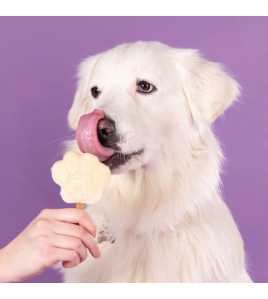 SMOOFL HONDEN IJS 160 G BANAAN