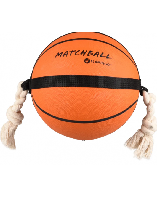 HS MATCHBALL BASKETBAL 24CM