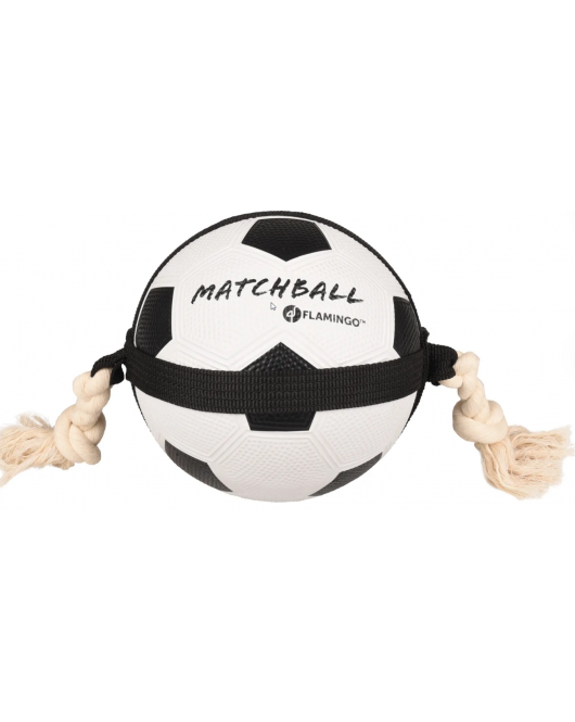 HS MATCHBALL VOETBAL 22CM