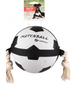 HS MATCHBALL VOETBAL 19CM