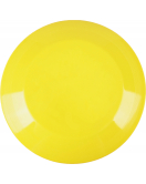 PLASTIC FRISBEE