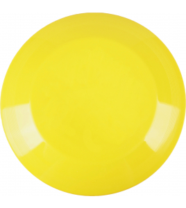 PLASTIC FRISBEE