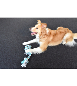 HS KATOEN JIM KNOOPBEEN 4 KNOPEN MUNT/WIT/GRIJS 60CM