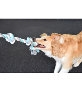 HS KATOEN JIM KNOOPBEEN 4 KNOPEN MUNT/WIT/GRIJS 60CM