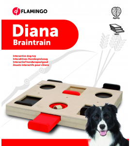 WOODEN BRAIN TRAIN DIANA-26X29.5CM