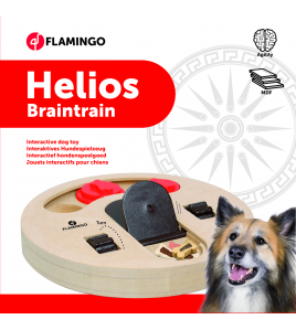 WOODEN BRAIN TRAIN HELIOS - 23CM