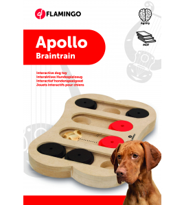 WOODEN BRAIN TRAIN APOLLO 30X20CM