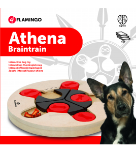 WOODEN BRAIN TRAIN ATHENA - 25CM