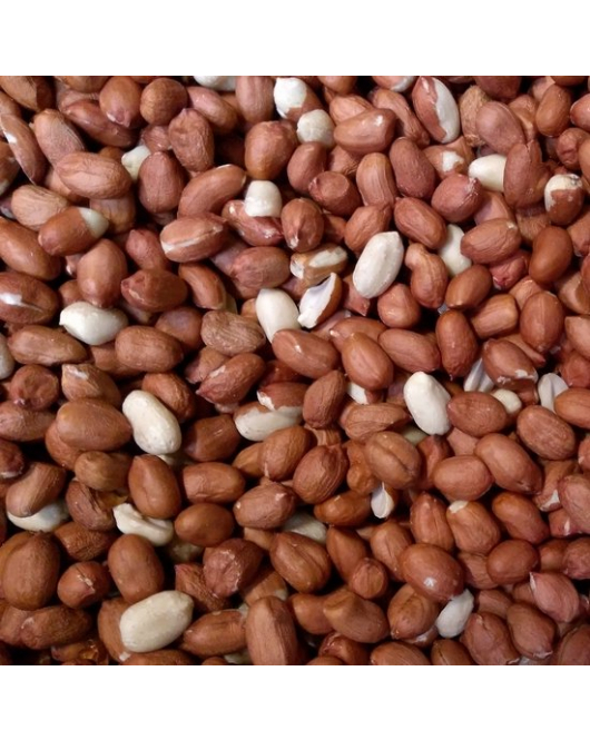 VERSELE-LAGA AARDNOOTJES GEPELD GROOT 25 KG