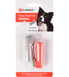 VINGERTANDENBORSTELSET DENTES 1,7X 2,5X6CM