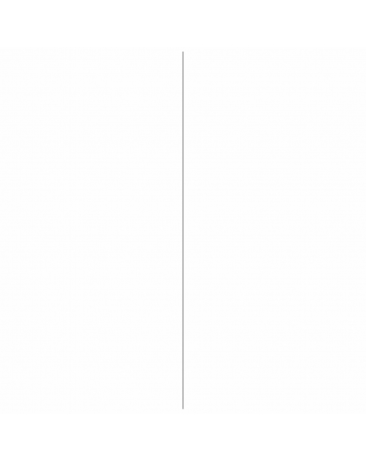 ANTISLIP PROFIEL ALUMINIUM 3X40MM 100CM