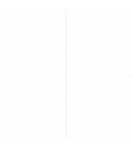 AFDEKPROFIEL ALUMINIUM 2X30MM 200CM