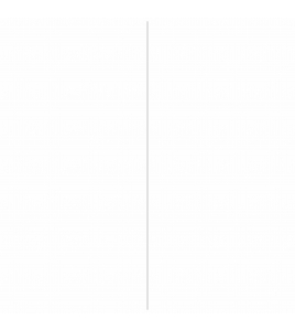 AFDEKPROFIEL 2X30MM ZELFKLEV.ZWART 260CM