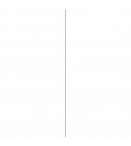 PLAFONDLIJST GRENEN GEGROND 16X16X2700MM