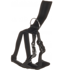 VEILIGHEIDSHARNAS AUTO BARO S ZWART 43-56CM