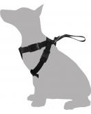 VEILIGHEIDSHARNAS AUTO BARO S ZWART 43-56CM
