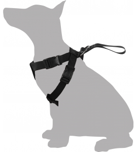 VEILIGHEIDSHARNAS AUTO BARO S ZWART 43-56CM