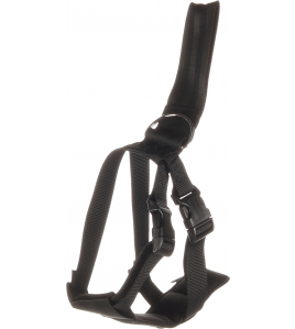 VEILIGHEIDSHARNAS AUTO BARO M ZWART 48-68CM