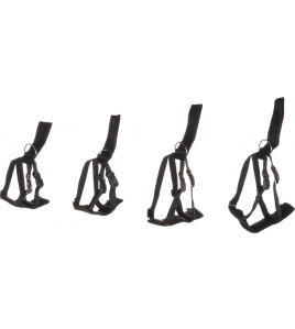 VEILIGHEIDSHARNAS AUTO BARO L ZWART 53-86CM