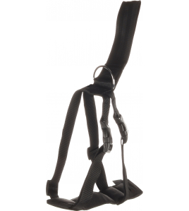 VEILIGHEIDSHARNAS AUTO BARO L ZWART 53-86CM