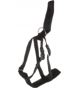 VEILIGHEIDSHARNAS AUTO BARO XL ZWART 56-90CM