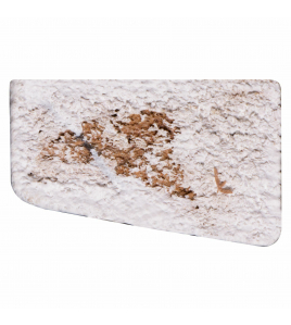 GLASLAT HARDHOUT GEGROND 17X28MM 270CM