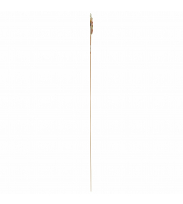 OVERG.PROF. GV LICHT EIK SCHROEF 38X950M