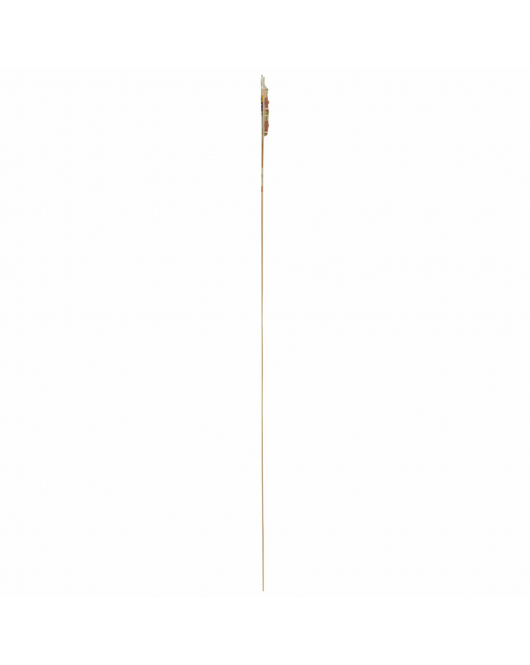 OVERG.PROF. GV LICHT EIK SCHROEF 38X950M