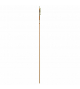 OVERGANGSPROF.GV LICHT EIK PLUG 33X950MM