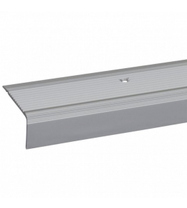 TRAPPROFIEL ZILVER 45X23X1900MM