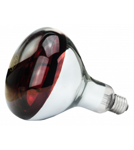 LAMP 250 W INFRAROOD HARD GLAS 1 ST LAMP 250 W INFRAROOD HARD GLAS 1 ST
